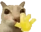 hewwos