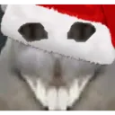 FUCKHADROSCR