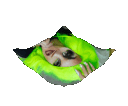 :rippledtrag: