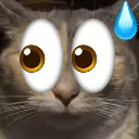 m_concern