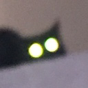 cat_watching_stare Discord emoji