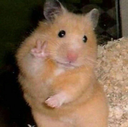 bye_peaceout Discord emoji