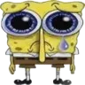 sadsponge