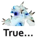 son_true