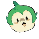 youngparrot youngparrot