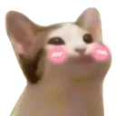 uwu