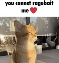 Ragebait