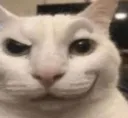 Cat_rizz