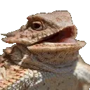 hehehehehehehe