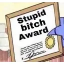 stupidbitchaward