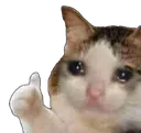 sadcatthumbsup