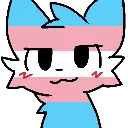 transboykisser