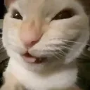 plotcat