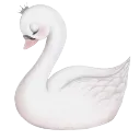 w_swan