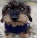 bruh