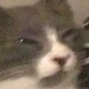 confuzled