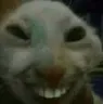 xdx