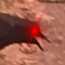 CAAAAAAAAAAAAAAAW