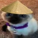 strawhatCat2