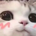 uwucat custom emote from #VTuberTH