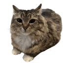 catchill Discord sticker from #VTuberTH