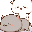 catspank