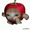 applecat animated Discord emote | #VTuberTH