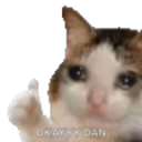 Discord Emote daumen_hoch_cat:
