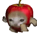 applecat