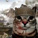 Warcat