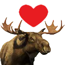 mooseLove mooseLove