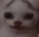 melon