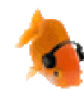 fishjamming fishjamming