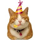 CatBirthday