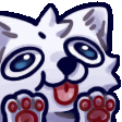 :derp: