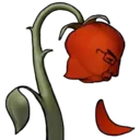 flover