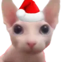 christmascat37
