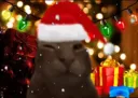buhChristmas buhChristmas