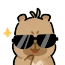 nami_sunglasses