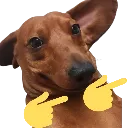 zoop zoop