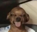 HEHE