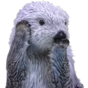 otter4gloria