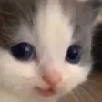 HeHe