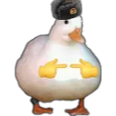uwu_duck