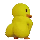 duckass