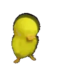 DEATH