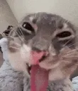 69176hehehe
