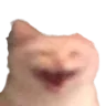 xD xD