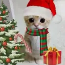 CE_CChristmas CE_CChristmas