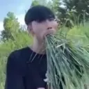 grass